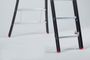 Altrex Nevada - Prof. Ladder 2X8