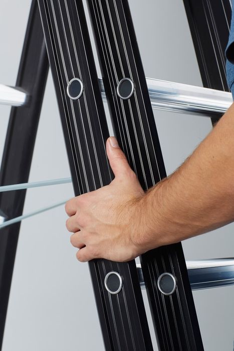 Altrex Nevada - Prof. Ladder 2X8