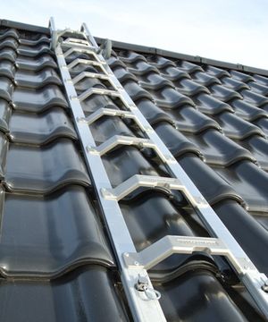 Altrex Dakladder 3 meter
