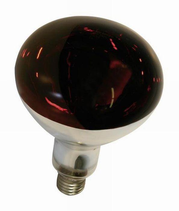 Philips Infraroodlamp 150Watt Philips Infraroodlamp 150Watt