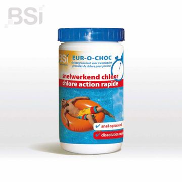 BIO SERVICES INTERNATIONAL NV Snelwerkend Chloor 1 Kg