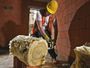 DeWALT 1700 W Alligatorzaag met zwaardlengte
