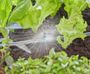GARDENA Micro sproeier 360ù