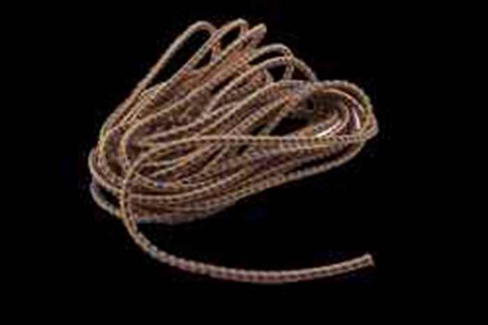 Ledent Elastiek 8Mm - 10M Voorverpakt Kleuren Ledent Elastiek 8Mm - 10M Voorverpakt Kleuren