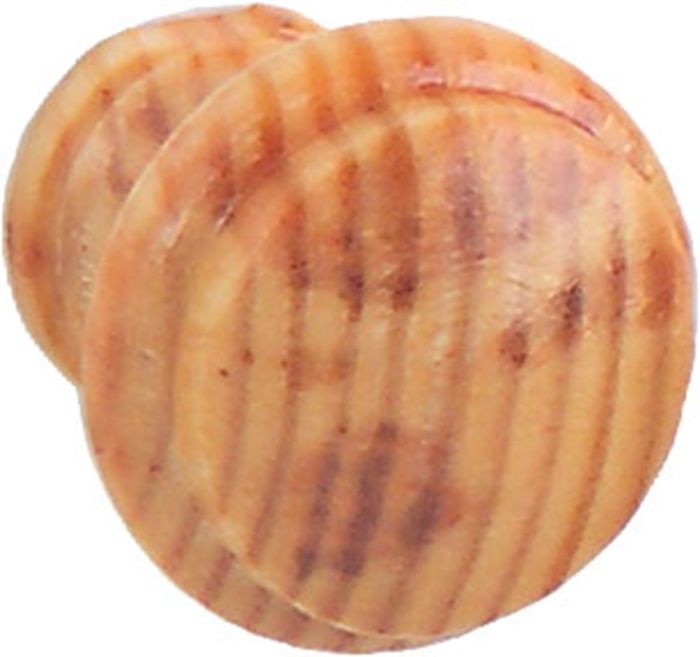 Metafranc  nv TOP HOUT - VERNIST 25MM