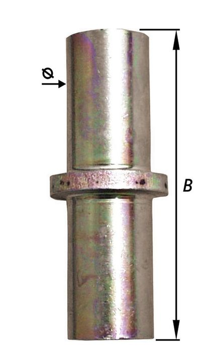 Pardaen Stiften Voor Luikscharnieren 18X73 Mm
