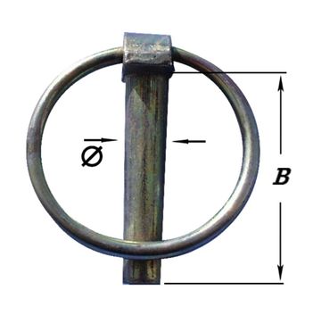 Pardaen 2 Borgpennen, Geel Verzinkt 4,5 Mm