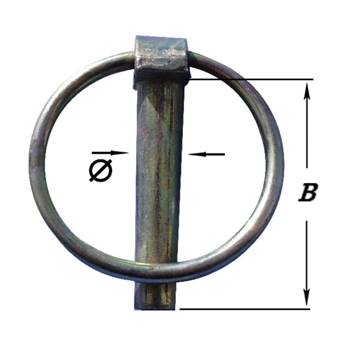Pardaen 2 Borgpennen, Geel Verzinkt 8 Mm Pardaen 2 Borgpennen, Geel Verzinkt 8 Mm