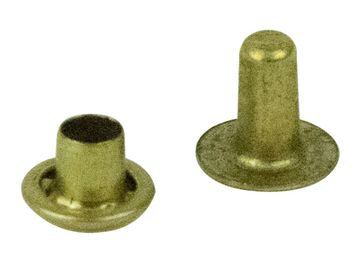 PGB Buisrivetten 10mm Messing /