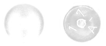 PGB-FASTENERS Afdekkapje met pin Wit ral 9010 /