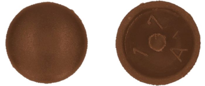 PGB-FASTENERS Afdekkapje met pin bruin ral 8011 / PGB-FASTENERS Afdekkapje met pin bruin ral 8011 /