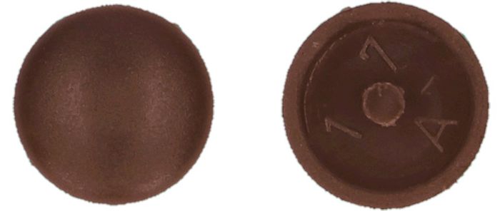 PGB-FASTENERS Afdekkapje met pin Bruin ral 8016 / 30 PGB-FASTENERS Afdekkapje met pin Bruin ral 8016 / 30
