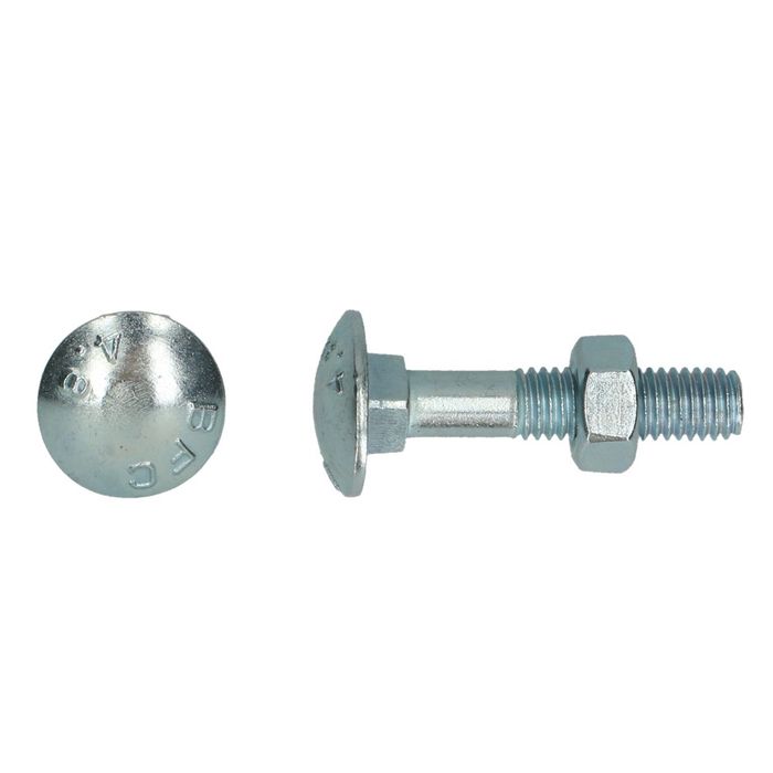 PGB-FASTENERS Houtbout Din 603/555 M 8x 30 Zn / PGB-FASTENERS Houtbout Din 603/555 M 8x 30 Zn /