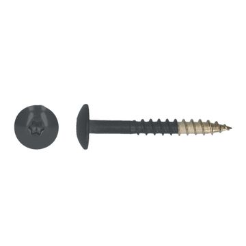 PGB-FASTENERS HPL schroef Tx20 4,8x38 R7016 A4/20st