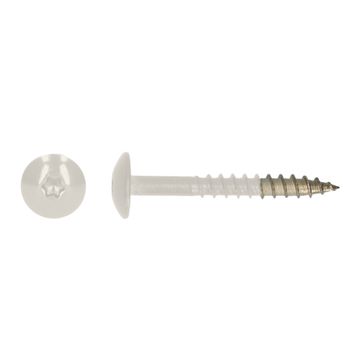 PGB-FASTENERS HPL schroef Tx20 4,8x38 R9010 A4/20st