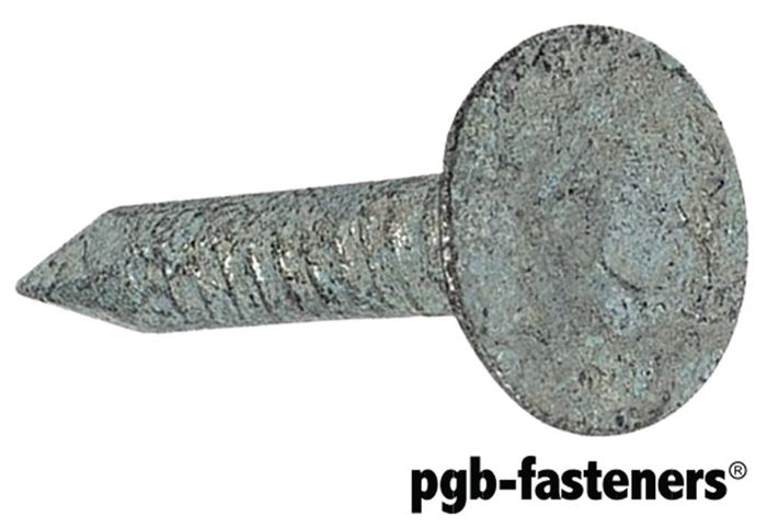 PGB 5Kg.Plafonneernagel * 2,00X25 Vzn