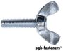 PGB 100St.Vleugelschroef Din 316 M  8X30 Zn
