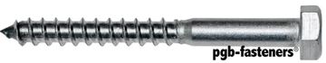PGB 200St.Houtdraadbout Din 571 * 6,00X30 Zn