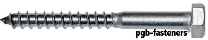 PGB 200St.Houtdraadbout Din 571 * 6,00X30 Zn