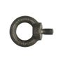PGB-FASTENERS 50 Oogbout C15 Din 580 M  6