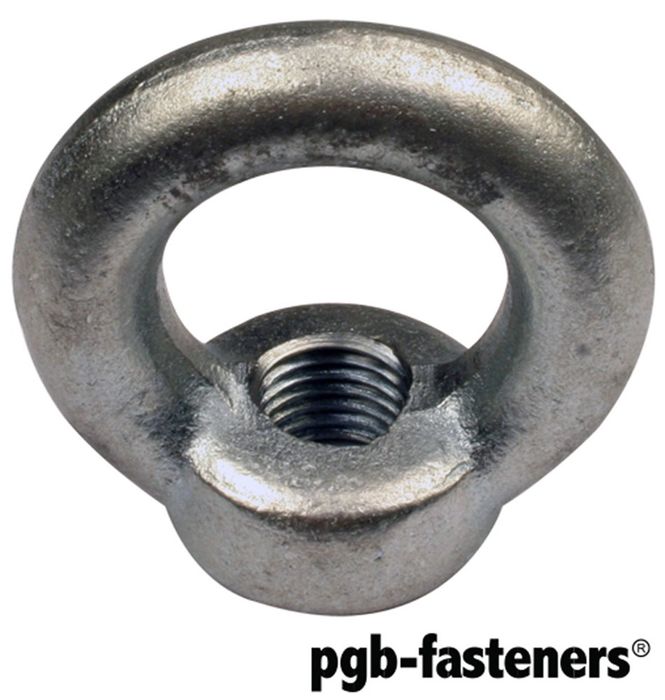 PGB 25St.Oogmoer Din 582 M 16 Inox A2 PGB 25St.Oogmoer Din 582 M 16 Inox A2