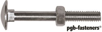 PGB 50St. Houtbout Din 603 M 10X 60 Inox  A2