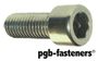 PGB 200 Bzk.Schroef Ck 8.8 Din 912 M  6X70