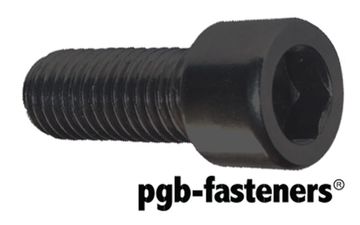 PGB 100St.Bzk.Schroef Ck 12.9 Din 912 M 10X