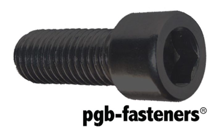 PGB 100St.Bzk.Schroef Ck 12.9 Din 912 M 10X
