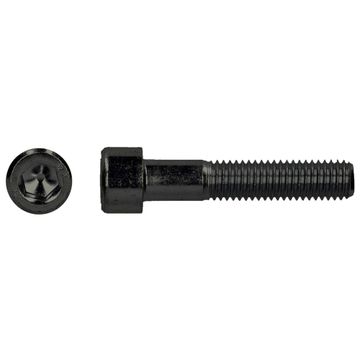 PGB-FASTENERS 25 Bzk.Schroef Ck 12.9 Din 912 M 24X50