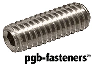PGB 200St.Stelschroef Din 916 M  4X 8 Inox