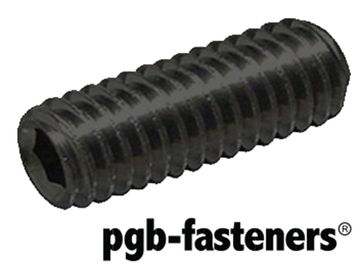 PGB 200St.Stelschroef Binnenzeskant Met