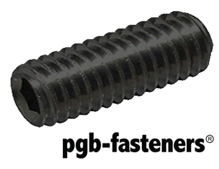 PGB 200St.Stelschroef Binnenzeskant Met