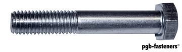 PGB 100St.Zeskantbout 8.8 Din 931 M 12X60 Zn