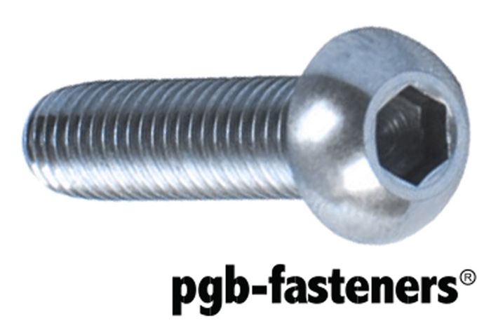 PGB 200St.Bzk.Bolkopschroef 10.9