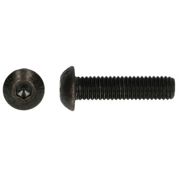 PGB-FASTENERS 200 Bzk.Bolkopschroef 10.9 Iso 7380 M