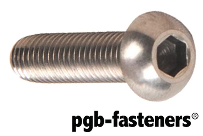 PGB 200St.Bzk.Bolkopschroef Iso 7380 M