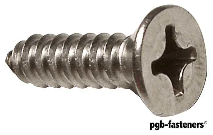 PGB 200St.Plaatschroef Din 7982C-H *
