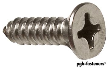 PGB 200St.Plaatschroef Din 7982C-H *