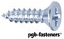 PGB 200St.Plaatschroef Din 7982C-H *