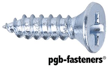 PGB 200St.Plaatschroef Din 7982C-H *