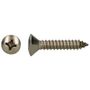 PGB-FASTENERS 200 Plaatschroef Din 7983C-H * 4,80X13