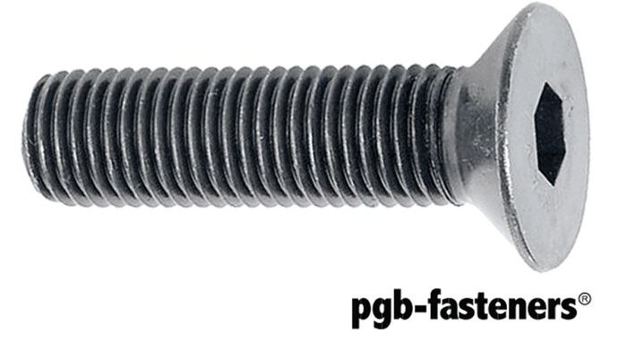 PGB 100St. Bzk.Schroef Vzk 10.9 Din 7991 M