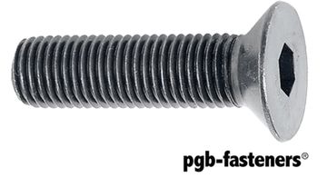 PGB 50St.Bzk.Schroef Vzk 10.9 Din 7991 M