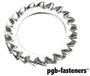 PGB 200St. Waaierveerringen Din 6798A M  8