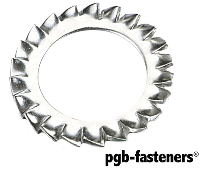 PGB 100St.Waaierveerringen Din 6798A M 20