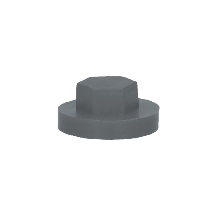 PGB-FASTENERS 100 Nylon Afdekkap Zesk.3/8
