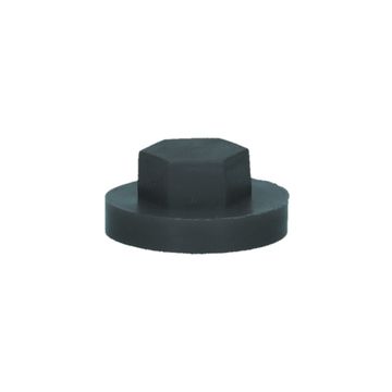 PGB-FASTENERS 100 Nylon Afdekkap Zesk.3/8