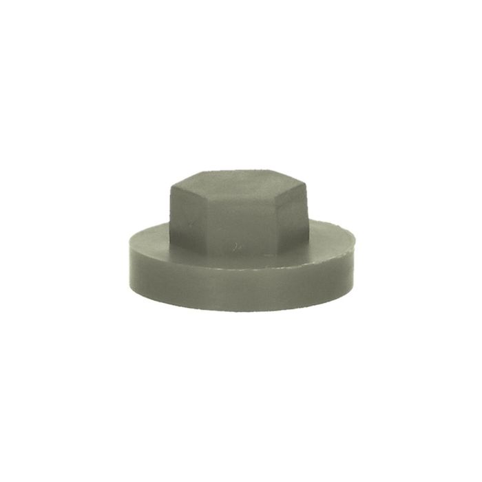 PGB-FASTENERS 100 Nylon Afdekkap Zesk.3/8