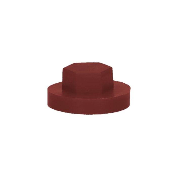 PGB-FASTENERS 100 Nylon Afdekkap Zesk.3/8